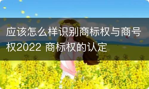 应该怎么样识别商标权与商号权2022 商标权的认定