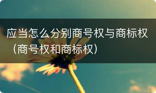 应当怎么分别商号权与商标权（商号权和商标权）