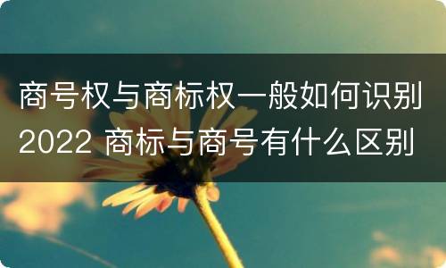 商号权与商标权一般如何识别2022 商标与商号有什么区别