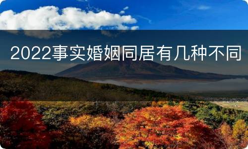 2022事实婚姻同居有几种不同