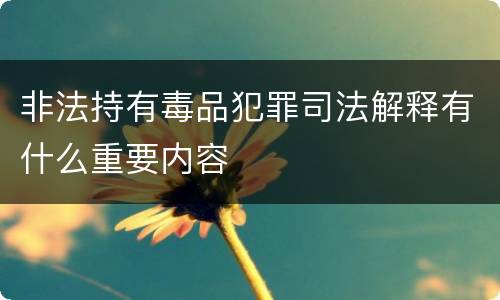非法持有毒品犯罪司法解释有什么重要内容