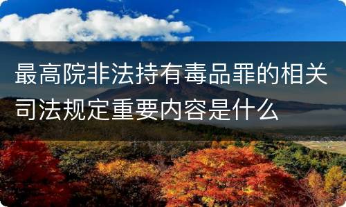 最高院非法持有毒品罪的相关司法规定重要内容是什么