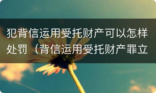 犯背信运用受托财产可以怎样处罚（背信运用受托财产罪立案追诉标准）