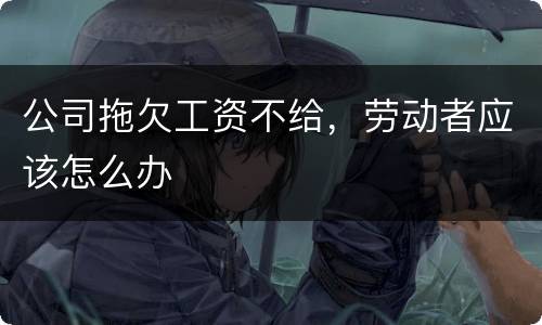 公司拖欠工资不给，劳动者应该怎么办