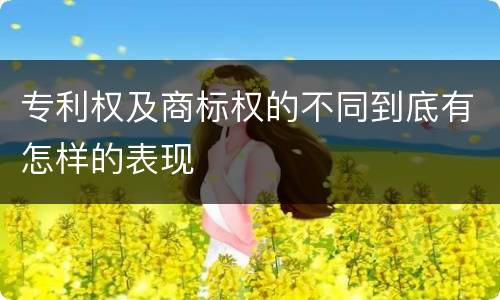 专利权及商标权的不同到底有怎样的表现