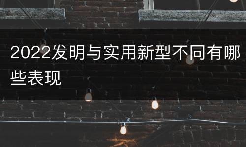 2022发明与实用新型不同有哪些表现