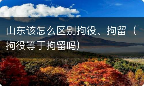 山东该怎么区别拘役、拘留（拘役等于拘留吗）