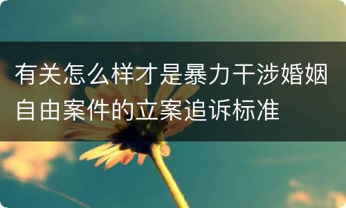 有关怎么样才是暴力干涉婚姻自由案件的立案追诉标准