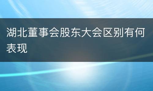 湖北董事会股东大会区别有何表现
