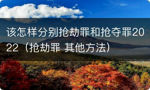 该怎样分别抢劫罪和抢夺罪2022（抢劫罪 其他方法）