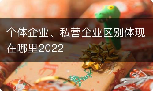 个体企业、私营企业区别体现在哪里2022