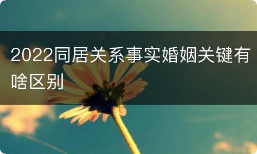 2022同居关系事实婚姻关键有啥区别