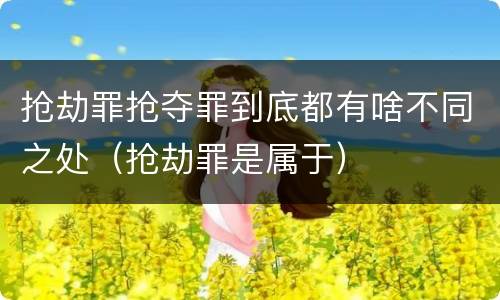 抢劫罪抢夺罪到底都有啥不同之处（抢劫罪是属于）