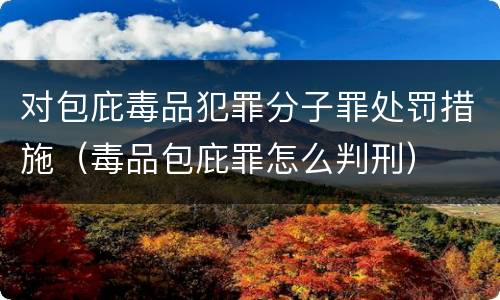 对包庇毒品犯罪分子罪处罚措施（毒品包庇罪怎么判刑）
