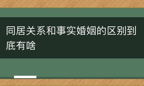 同居关系和事实婚姻的区别到底有啥