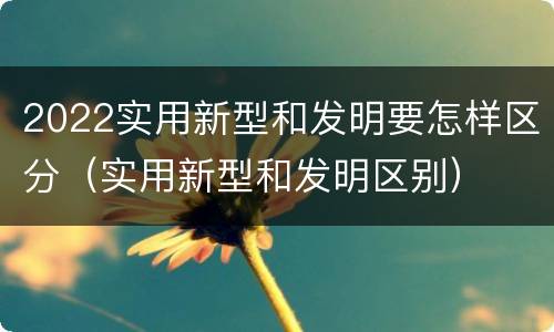 2022实用新型和发明要怎样区分（实用新型和发明区别）