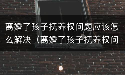 离婚了孩子抚养权问题应该怎么解决（离婚了孩子抚养权问题应该怎么解决好）