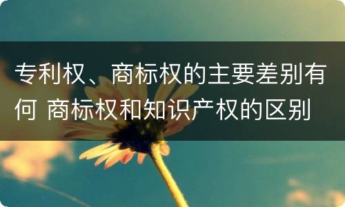 专利权、商标权的主要差别有何 商标权和知识产权的区别