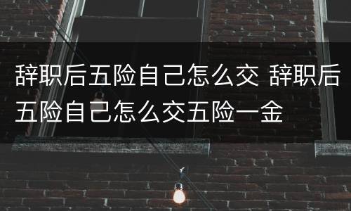 辞职后五险自己怎么交 辞职后五险自己怎么交五险一金