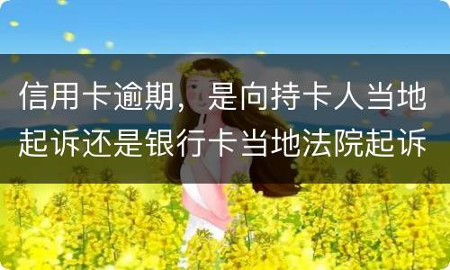信用卡逾期，是向持卡人当地起诉还是银行卡当地法院起诉