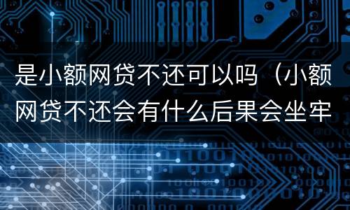 是小额网贷不还可以吗（小额网贷不还会有什么后果会坐牢吗）