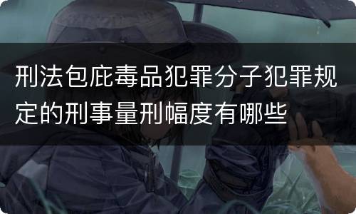 刑法包庇毒品犯罪分子犯罪规定的刑事量刑幅度有哪些
