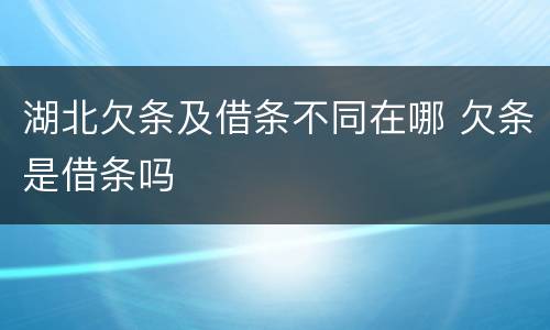 湖北欠条及借条不同在哪 欠条是借条吗