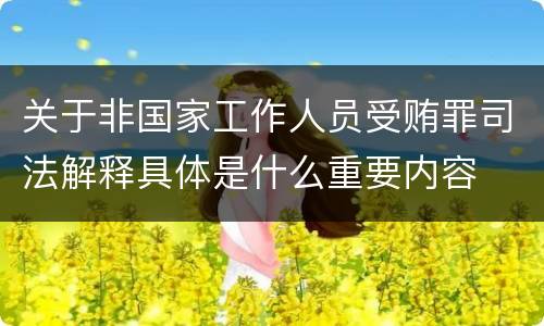 关于非国家工作人员受贿罪司法解释具体是什么重要内容