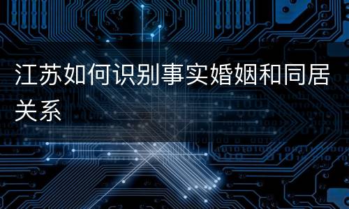 江苏如何识别事实婚姻和同居关系