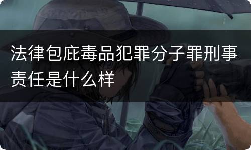 法律包庇毒品犯罪分子罪刑事责任是什么样