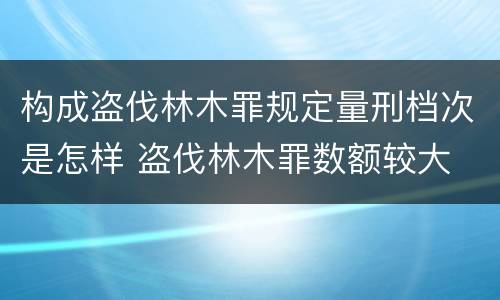 构成盗伐林木罪规定量刑档次是怎样 盗伐林木罪数额较大
