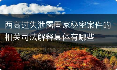 两高过失泄露国家秘密案件的相关司法解释具体有哪些