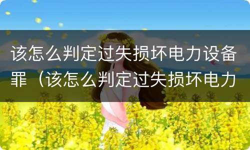 该怎么判定过失损坏电力设备罪（该怎么判定过失损坏电力设备罪行为）