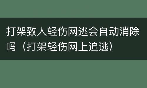 打架致人轻伤网逃会自动消除吗（打架轻伤网上追逃）