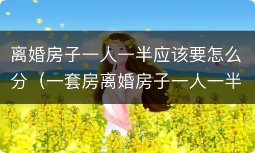 离婚房子一人一半应该要怎么分（一套房离婚房子一人一半怎么处理）