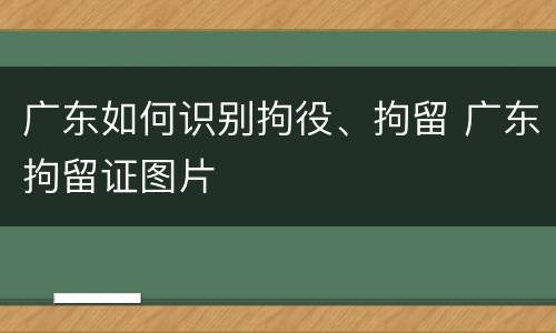 广东如何识别拘役、拘留 广东拘留证图片