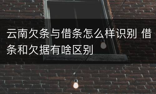 云南欠条与借条怎么样识别 借条和欠据有啥区别