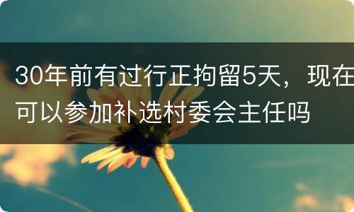 30年前有过行正拘留5天，现在可以参加补选村委会主任吗