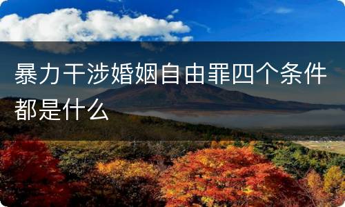 暴力干涉婚姻自由罪四个条件都是什么