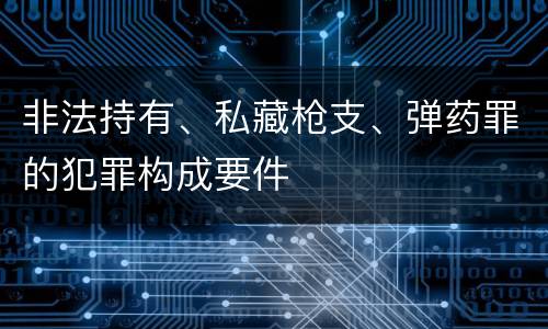 非法持有、私藏枪支、弹药罪的犯罪构成要件