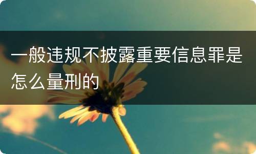 一般违规不披露重要信息罪是怎么量刑的