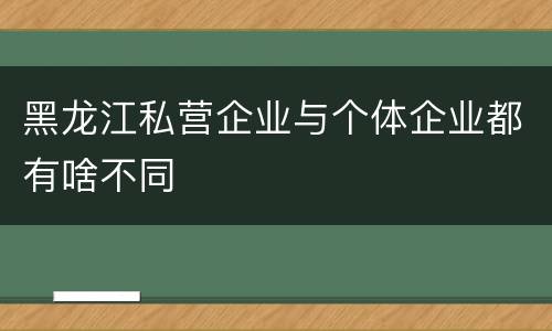 黑龙江私营企业与个体企业都有啥不同