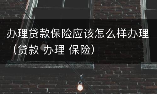 办理贷款保险应该怎么样办理（贷款 办理 保险）