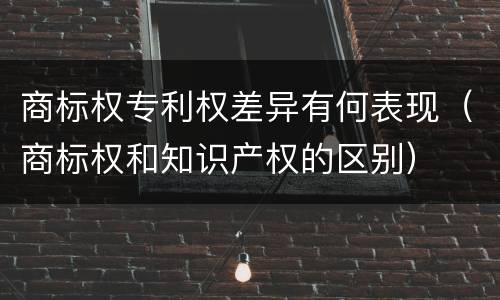 商标权专利权差异有何表现（商标权和知识产权的区别）