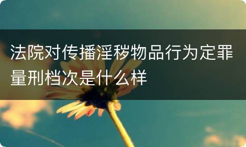 法院对传播淫秽物品行为定罪量刑档次是什么样