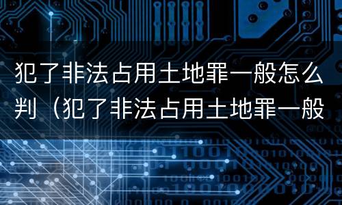 犯了非法占用土地罪一般怎么判（犯了非法占用土地罪一般怎么判的）