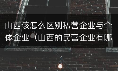 山西该怎么区别私营企业与个体企业（山西的民营企业有哪些）