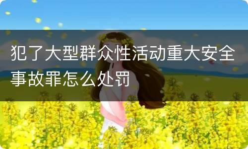 犯了大型群众性活动重大安全事故罪怎么处罚
