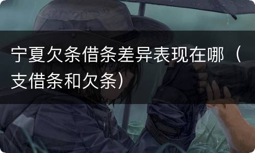 宁夏欠条借条差异表现在哪（支借条和欠条）
