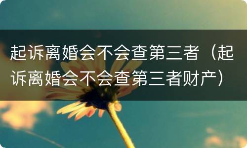 起诉离婚会不会查第三者（起诉离婚会不会查第三者财产）